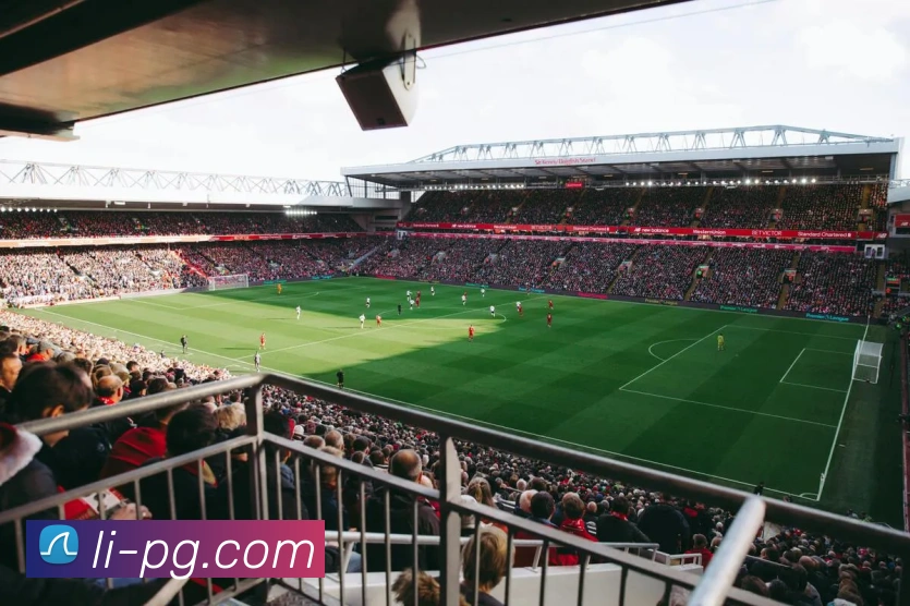 辅助工具 辅助工具